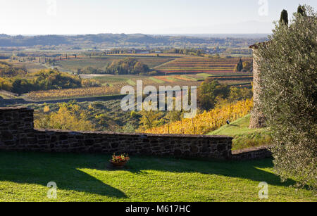 Herbst Landschaft im Collio Region, Italien Stockfoto