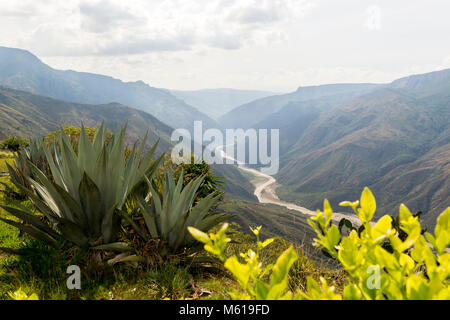 Wandern rund um chicamocha Nationalpark in Kolumbien Stockfoto