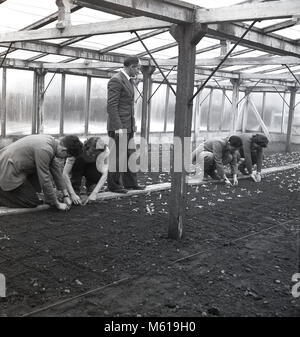 1950er Jahre, historische Bild zeigt vier landwirtschaftlichen Studenten dieser Ära Pflanzen oder Säen carefullly im Boden in einem Gewächshaus unter der Aufsicht eines männlichen Lehrer. Sowohl während als auch nach dem 2.Weltkrieg gab es einen wichtigen Vorstoß in Großbritannien mehr Ihrer eigenen Essen und Förderung junger Menschen zu wachsen, sowohl männliche als auch weibliche, zu studieren, die neue Möglichkeiten in der Landwirtschaft und der landwirtschaftlichen Sektoren und zu nehmen. Stockfoto