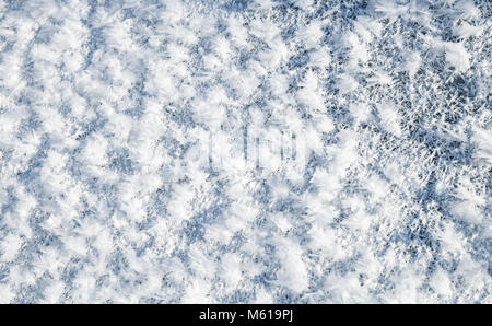 Nahaufnahme Foto von oberflächenreif, der häufigsten Form von Raureif besteht aus Flauschigen Eiskristalle. Winter natürliche Hintergrund Textur Stockfoto