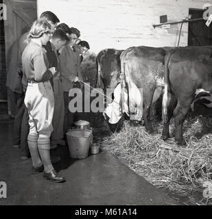 1950, Großbritannien, historische Bild zeigt eine Gruppe von landwirtschaftlichen Studenten lernen, wie man Kühe im Melkstand Schuppen gemolken werden. Während und nach dem WW2, viel Gewicht in Großbritannien war auf die Herstellung von mehr home-grown Food und studentische Anwendungen in der Landwirtschaft und der Landwirtschaft gelegt wurden angeregt. Stockfoto