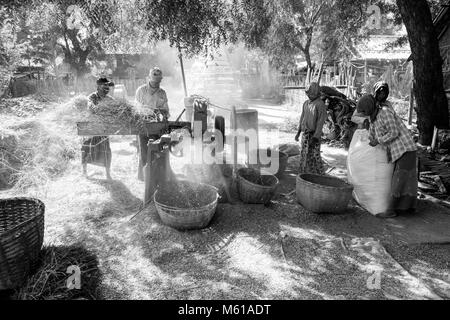 BAGAN, Myanmar, Januar 2018: Erntezeit in Bagan, Myanmar Stockfoto