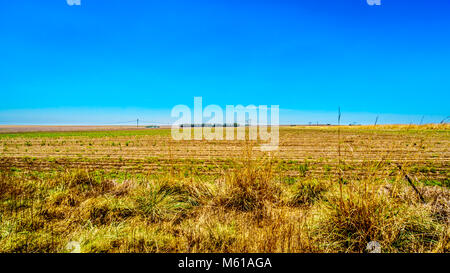 Panorama der weiten, offenen Flächen entlang der R39 in den Vaal River Region im Süden der Provinz Mpumalanga in Südafrika Stockfoto