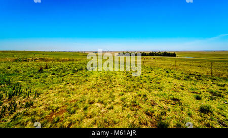 Die weite, offene Ackerland entlang der R39 in den Vaal River Region im Süden der Provinz Mpumalanga in Südafrika Stockfoto