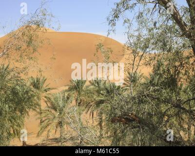 Eine Autobahn durch eine beeindruckende Landschaft der Wüste verbindet die Oasenstadt Al Ain im Osten des Emirats mit dem Coastal Metropole Abu Dhabi, ist 160 Kilometer entfernt. (24. Januar 2014) | Verwendung weltweit Stockfoto