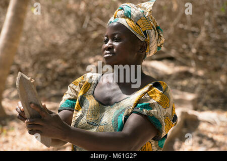 Eine einheimische, tribal Mandinka Frau spielen ein traditionelles Instrument in einem feierlichen Dorf Tanz in Gambia, Westafrika. Stockfoto