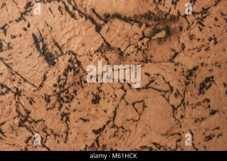 Textur Hintergrund natürliche Struktur Kork Tapeten an der Wand Stockfoto