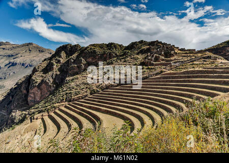 Landwirtschaftlichen Terrassen und Q'Allaqasa (Wohn-) Sektor, Pisac Ruinen, Pisac, Cusco, Peru Stockfoto