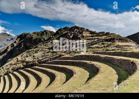 Landwirtschaftlichen Terrassen und Q'Allaqasa (Wohn-) Sektor, Pisac Ruinen, Pisac, Cusco, Peru Stockfoto