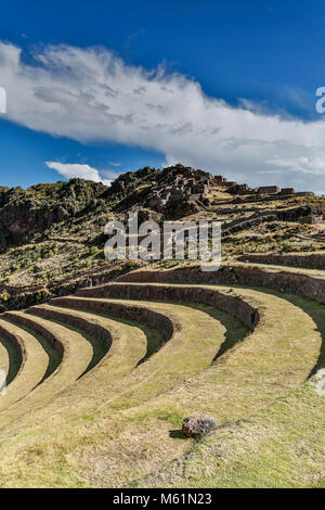 Landwirtschaftlichen Terrassen und Q'Allaqasa (Wohn-) Sektor, Pisac Ruinen, Pisac, Cusco, Peru Stockfoto