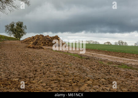 Große Pferdemist Stapel in Feld in Großbritannien Stockfoto
