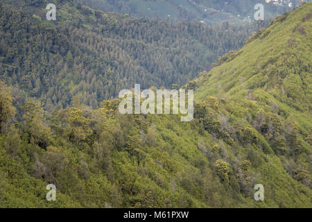 Mount Bromo (Indonesisch: Gunung Bromo), ist ein aktiver Vulkan und Teil des Tengger massiv, in Ostjava, Indonesien. Auf 2.329 m (7,641 ft) Stockfoto