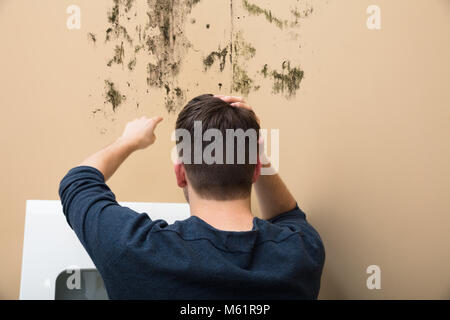 Ansicht von hinten von einem Mann, der auf Schimmel an der Wand zu Hause Stockfoto