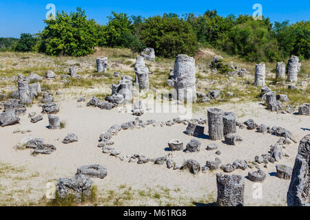 Das natürliche Phänomen Pobiti Kamani, wie der Stein Wald und Dikilitash, natürliche Sehenswürdigkeiten an einem heiligen Ort in der Nähe von Varna, Bulgarien bekannt Stockfoto