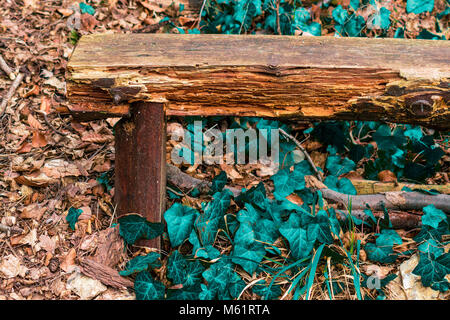 Alte Bank, auf die Blätter im Wald Stockfoto