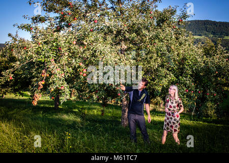 Jörg Geiger Manufaktur für Obstwein und Säfte. Wie im Paradies: Eva verführt Adam mit dem Apfel Stockfoto