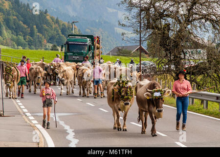 Feierliche Vertreibung von Rindern von den Almen ins Tal im Herbst, Hittisau, Österreich Stockfoto