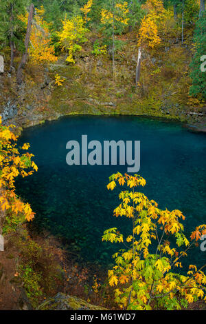 Tamolitch fällt, blauen Pool, McKenzie River National Wild und Scenic River, Willamette National Forest, Oregon Stockfoto