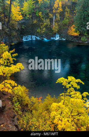 Tamolitch fällt, blauen Pool, McKenzie River National Wild und Scenic River, Willamette National Forest, Oregon Stockfoto