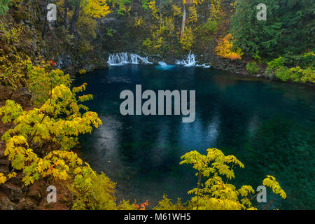 Tamolitch fällt, blauen Pool, McKenzie River, National Wild und Scenic River, Willamette National Forest, Oregon Stockfoto