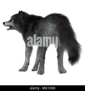 Die Dire Wolf war ein prähistorischer Fleischfresser, die in Nord- und Südamerika während des Pleistozäns Zeit gelebt. Stockfoto