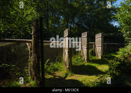 Sønderho Gamle Fuglekøje, Sønderho alten Vogelkoje Stockfoto