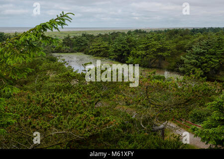 Blick über die Dünen im Süden von Paelebjerg, Fanø, Fano Plantage Plantage Stockfoto