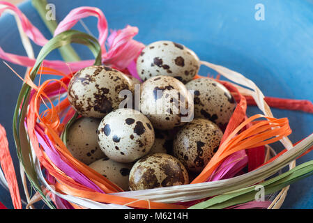 Ostern Dekoration mit qail Eier im Nest Stockfoto