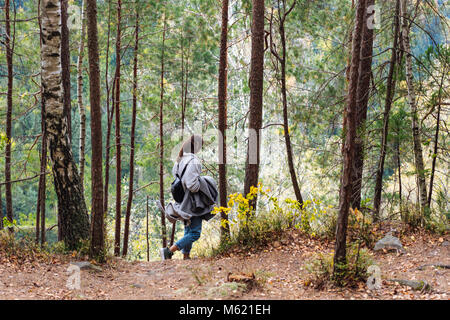 Das Mädchen geht in den Wald Stockfoto