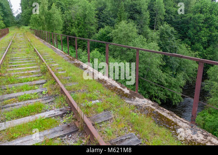 Viadukt über den Fluss Yaryngya. Krestetsky Bezirk, Novgorod Russland. Die Brücke wurde 1914-1916 erbaut, seine Höhe beträgt ca. 25 Meter. Stockfoto
