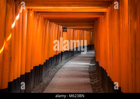 Roten Torii des Fushimi Inari Schrein, Kyoto, Japan Stockfoto