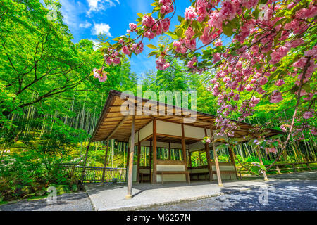 Garten mit Cherry Blossom und Holz- zen Architektur auf der Nordseite, North Gate, der Tenryu-ji Zen Tempel in Arashiyama in den Bergen am westlichen Stadtrand von Kyoto, Japan. Frühling, sonnigen Tag. Stockfoto