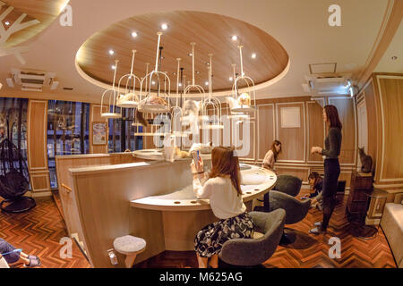 Tokyo, Japan - 17. April 2017: Leute, die Bilder von reinrassige Katzen innerhalb von Cat Cafe Mokka in Shibuya entfernt. Cat Cafe ist in Japan berühmt, weil eine Katze streicheln Reduziert Angst und Stress. Stockfoto