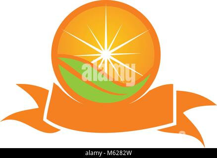 Orange Symbol Logo Design Template Vector Stock Vektor