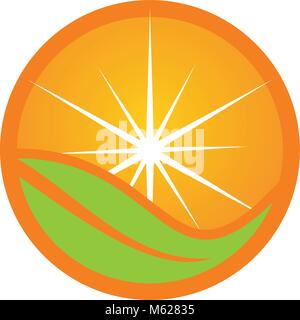 Orange Symbol Logo Design Template Vector Stock Vektor