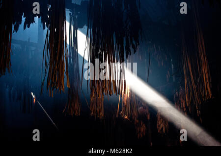 Ein Sonnenstrahl shinning in ein Langhaus in Sainte-Marie unter den Huronen. Smoke House. Stockfoto