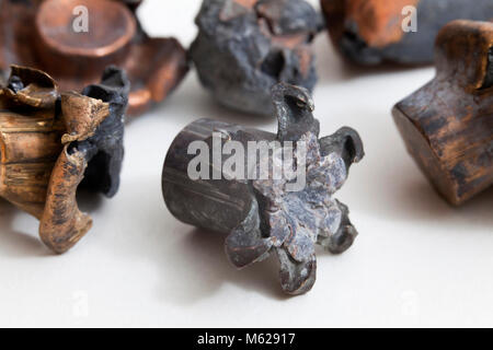 Verschiedene Arten der wiederhergestellten verbrachte Aufzählungszeichen (Geschosse), Erweiterung (Pilze) - USA Stockfoto