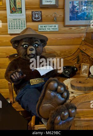 Smokey Bär animatronic im Amt US Forest Service headquarters Sitzen - Washington, DC, USA Stockfoto