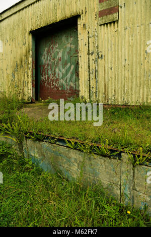 Tür in alte verlassene Lager mit abblätternde gelbe Farbe auf Wellblechwände und Pflanzen wachsen auf Last Bucht Stockfoto