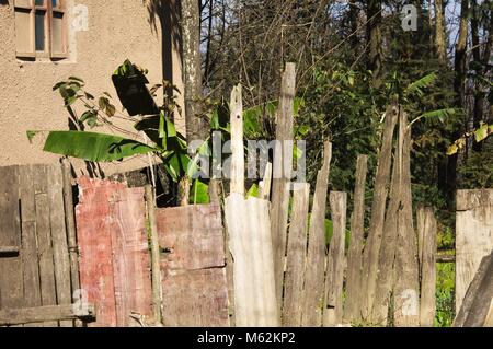 Holz im Garten (Yunnan, China) Stockfoto