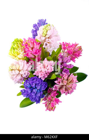 Lila, Blau, Pink, Himbeere Hyazinthen in ein kleines Bouquet. Ein Urlaub, ein Geschenk für eine Frau. Smart. Blick von oben. Isoliert Stockfoto