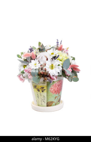 Strauß in einem Topf mit gelben, weissen Chrysanthemen, Kamille, Eukalyptus, Lavendel, Baumwolle, Eustoma, Nelken. Ein Urlaub, ein Geschenk für eine Frau. Smart Seite Stockfoto