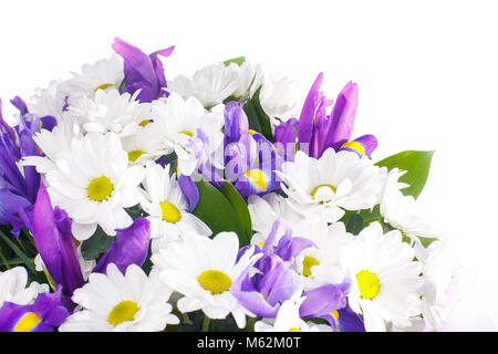 Blumenstrauß aus Chrysanthemen, Gänseblümchen und violett Iris, russus. Farbe, Kontrast. Ein Urlaub, ein Geschenk für eine Frau. Groß und smart. Clo Stockfoto