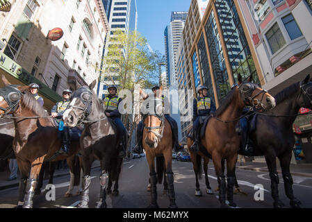 Berittene New South Wales (Australische) Polizei in einer Reihe bei einem friedlichen Protest in Sydney im September 2017 für die Gleichstellung der Ehe Stockfoto