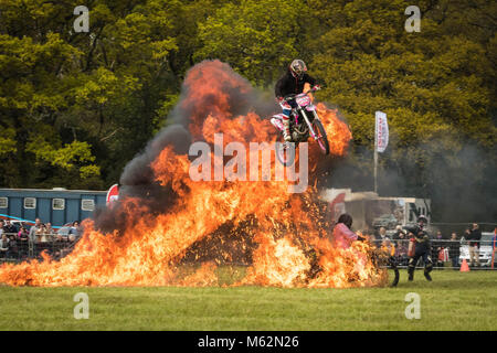 Stunt motocross Reiter durch ein Ring aus Feuer springen Stockfoto