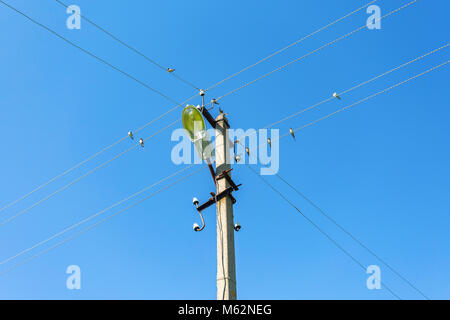 Schwalben sitzen auf elektrischen Leitungen gegen den blauen Himmel Stockfoto