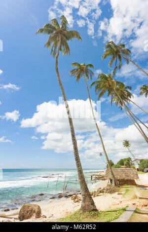 Koggala Beach, Sri Lanka, Asien - ein kleines, traditionelles Haus innerhalb von Palmen im Koggala Beach Stockfoto