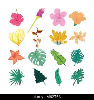 Dekorative tropische Blumen und Blätter Hand gezeichnet Vector Illustration Design Stock Vektor