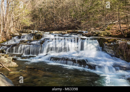 Einer mehrstufigen Wasserfällen auf steinigen Nelke Creek in Greene Land in den Catskill Mountains in Edgewood, New York Stockfoto