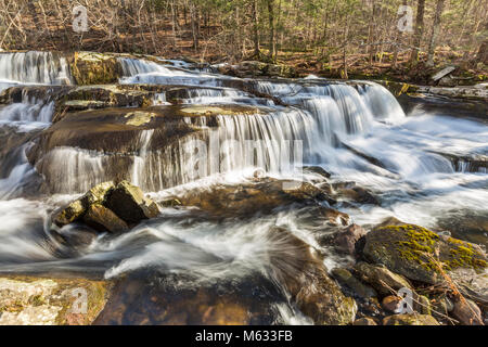 Einer mehrstufigen Wasserfällen auf steinigen Nelke Creek in Greene Land in den Catskill Mountains in Edgewood, New York Stockfoto